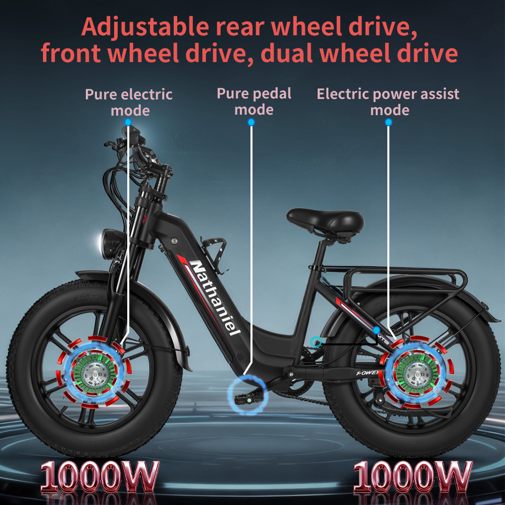 Adult Electric Bicycle Nathani - Dual Motor Ebike Kit 2000W review and price